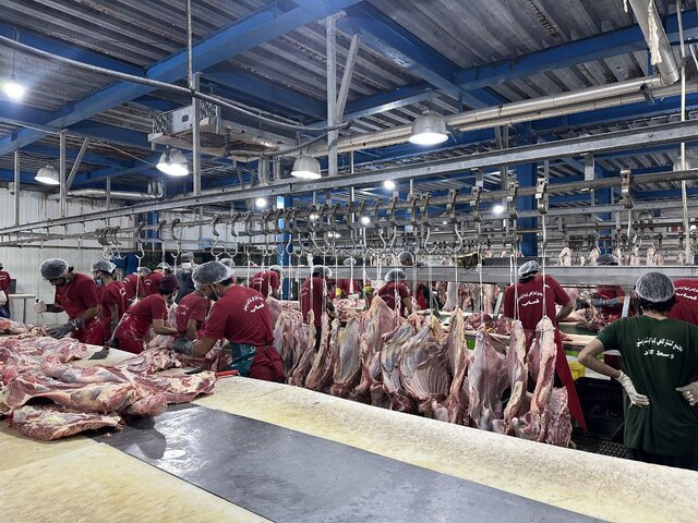 ترخیص ۵۰۰۰ تن فرآورده دامی از مرز میرجاوه سیستان و بلوچستان