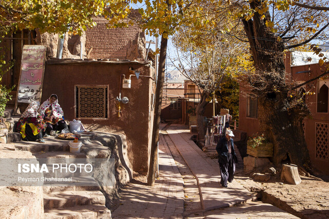 توسعه کسب و کارهای روستایی با ایجاد زیست بوم روستا