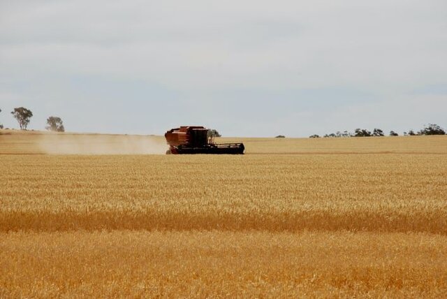 خشکسالی فصل کاشت را در ترکیه به تعویق انداخت