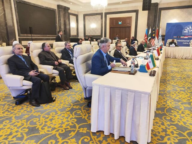 پیشنهادهای ایران به نخستین اجلاس وزیران بهداشت دی۸ در مصر