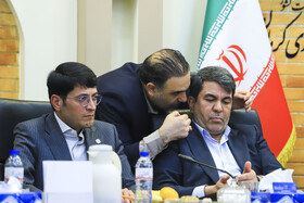 نشست شورای برنامه‌ریزی و توسعه استان کرمان