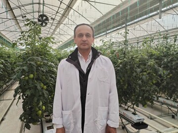 گلخانه‌های مدرن ایران الگویی برای کشاورزی جهان