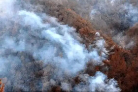 افزایش آتش‌سوزی در منطقه الیت؛ ۳۵ تیم عملیاتی و سه بالگرد در تلاش برای مهار حریق