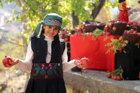 جشن انار پاوه در روستای ساتیاری