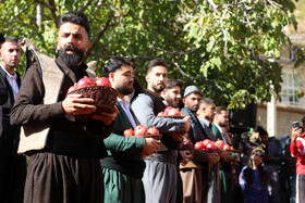 جشن انار پاوه در روستای ساتیاری