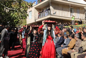 جشن انار پاوه در روستای ساتیاری