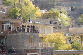 جشن انار پاوه در روستای ساتیاری