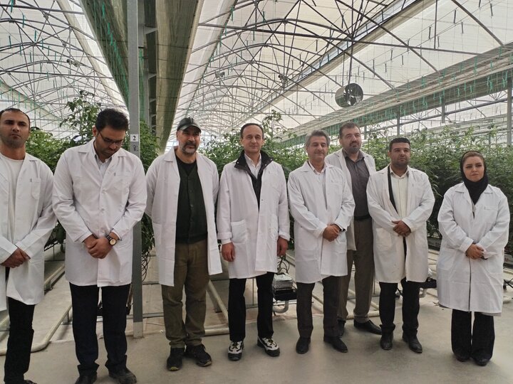 نقش تعیین‌کننده مسئولان فنی و مهندسان کشاورزی در موفقیت واحدهای تولیدی/ طرح شناسه محصول در همه استان‌ها اجرا می‌شود