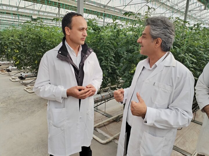 گلخانههای مدرن ایران الگویی برای کشاورزی جهان