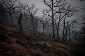 عملیات مهار آتش‌سوزی مناطق کوهستانی روستاهای دلیر و الیت