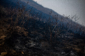 عملیات مهار آتش‌سوزی مناطق کوهستانی روستاهای دلیر و الیت