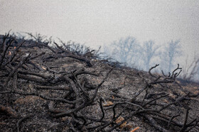 عملیات مهار آتش‌سوزی مناطق کوهستانی روستاهای دلیر و الیت