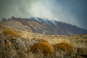 عملیات مهار آتش‌سوزی مناطق کوهستانی روستاهای دلیر و الیت