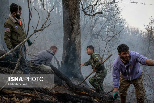 انصاری: آتشسوزی الیت ۲۰ روز مداوم نبود/ ضرورت تشکیل یگان ویژه اطفای حریق جنگلها