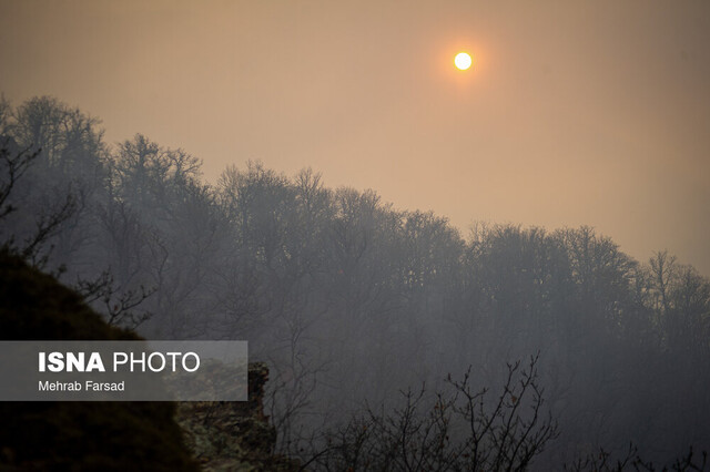 استاد دانشگاه: آتش هیرکانی، سوختن آینده ایران است