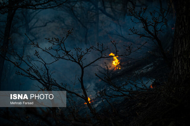 مهار آتش در الیت با آتش‌بُر/ کمبود نیروی انسانی آموزش دیده اطفای حریق جنگلی