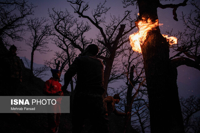 دخالت انسان در آتش‌سوزی الیت قطعی است