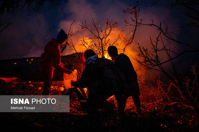 باد آتش جنگل‌های دیزمار را دوباره شعله‌ور کرد