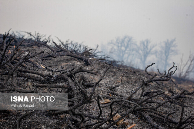 استاد دانشگاه: آتش هیرکانی، سوختن آینده ایران است