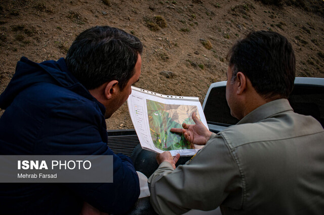 انصاری: آتش‌سوزی الیت ۲۰ روز مداوم نبود/ ضرورت تشکیل یگان ویژه اطفای حریق جنگل‌ها