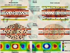 در نظر گرفتن رفتار رئولوژیکی خون برای ارزیابی آسیب به سلول‌های رگ