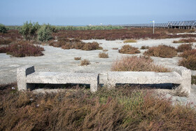 پسروی آب در ساحل بندرگز خلیج گرگان