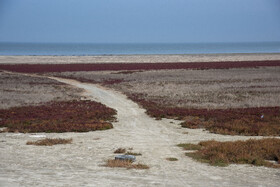 پسروی آب در ساحل بندرگز خلیج گرگان