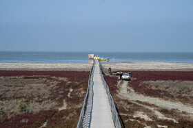 پسروی آب در ساحل بندرگز خلیج گرگان