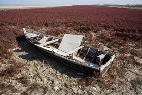 پسروی آب در ساحل بندرگز خلیج گرگان