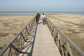 پسروی آب در ساحل بندرگز خلیج گرگان