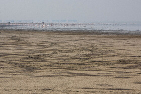 پسروی آب در ساحل بندرگز خلیج گرگان