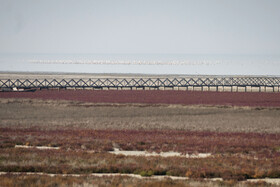 پسروی آب در ساحل بندرگز خلیج گرگان