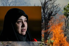 برای اطفای حریق جنگل‌های «هیرکانی» مسئولان عملیاتی پای کار بیایند