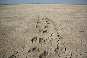 پسروی آب در ساحل گلوگاه خلیج گرگان