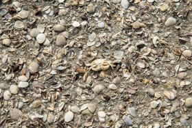 پسروی آب در ساحل گلوگاه خلیج گرگان