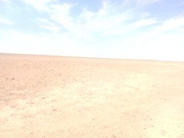 تالاب بندعلیخان در آستانه بحران اکولوژیک + فیلم