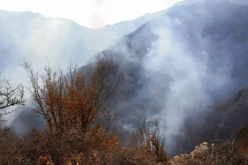 ۸ بالگرد و هواپیماهای ایلوشن مشغول اطفای حریق الیت هستند