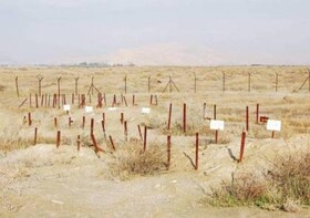 جنایت جدید صهیونیست‌ها؛ سرقت اعضای بدن شهدای فلسطینی