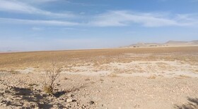 حال ناخوش میزبان فلامینگوها در ملایر