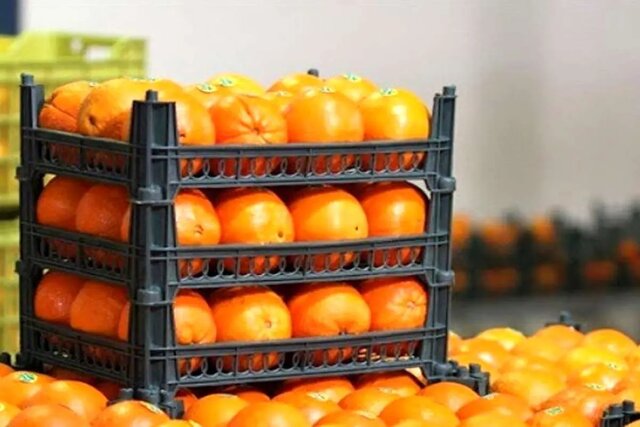 ماجرای پرتقال سمی در ایران چه قدر درست است؟