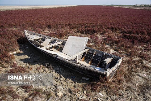 استقرار لایروب در خلیج گرگان ظرف ۱۰ روز آینده
