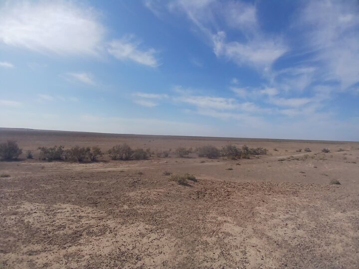 تالاب بندعلیخان در آستانه بحران اکولوژیک