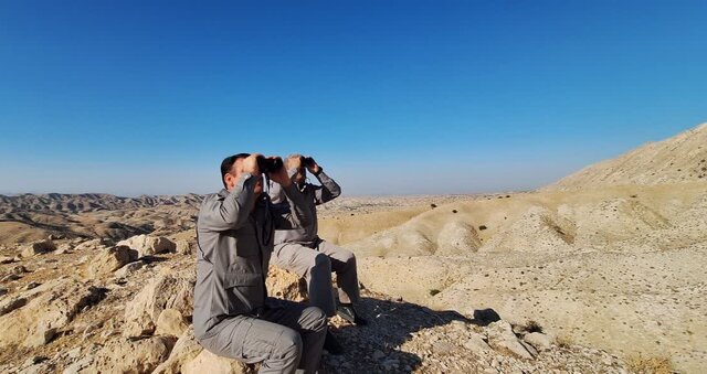 آغاز شمارش حیات وحش در ۵ شهرستان گرمسیری کهگیلویه و بویراحمد