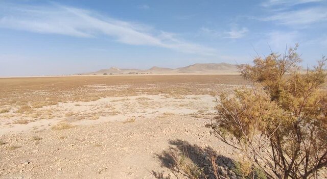 حال ناخوش میزبان فلامینگوها در ملایر