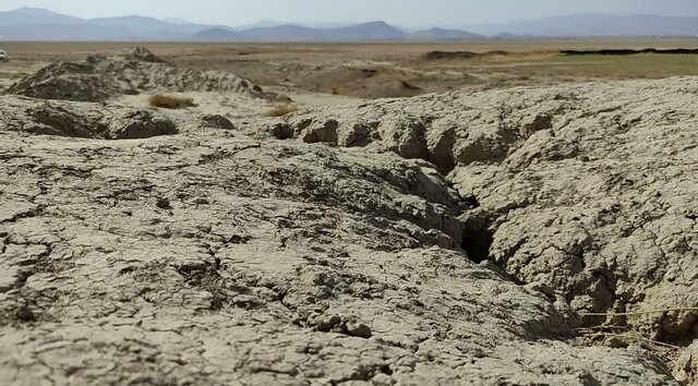 حال ناخوش میزبان فلامینگوها در ملایر