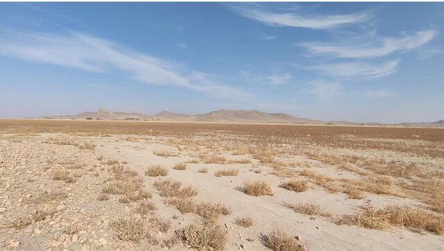 حال ناخوش میزبان فلامینگوها در ملایر