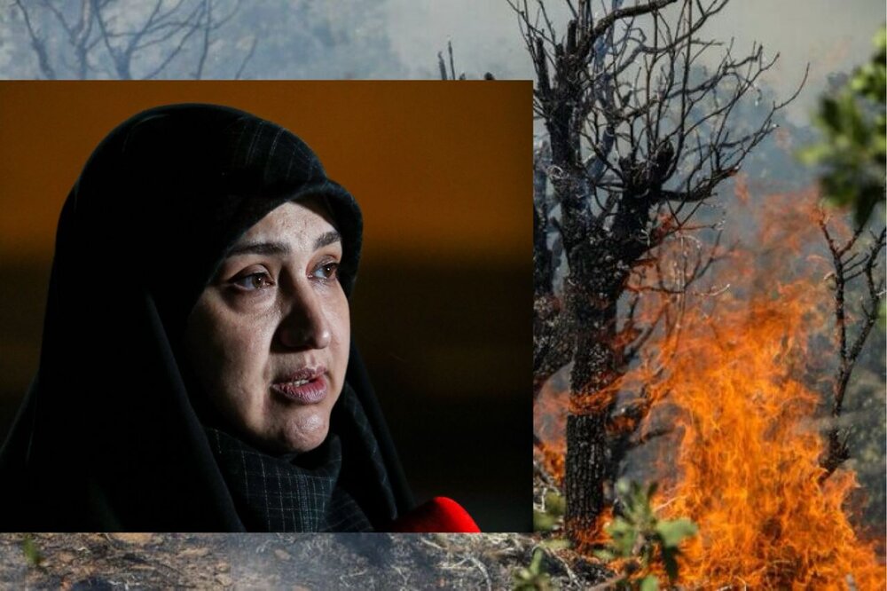 برای اطفای حریق جنگل‌های «هیرکانی» مسئولان عملیاتی پای کار بیایند