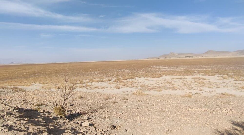 حال ناخوش میزبان فلامینگوها در ملایر