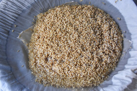 سنت خانگی نذر سمنوپزان - سمنان