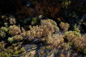 پاییزِ هزاررنگ در روستای شیت - طارم